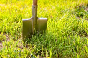 dethatching-lawn-portland-oregon